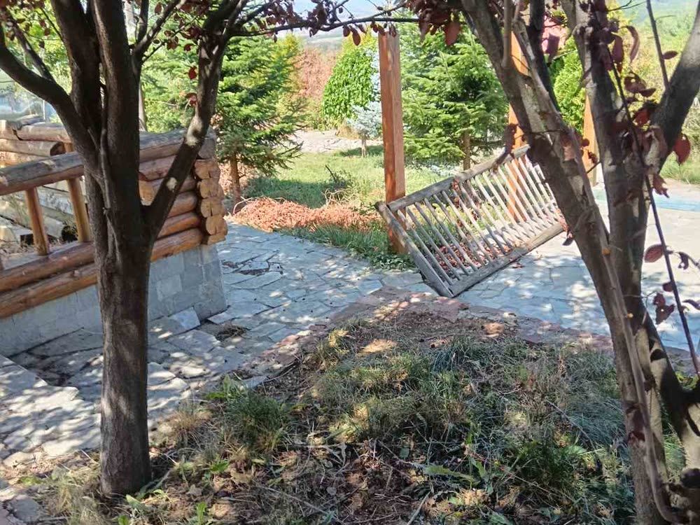 Почистена градина с окосена трева, пейка и дървета